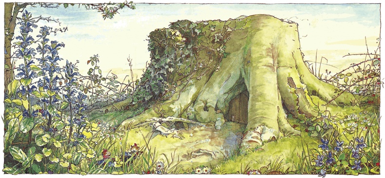 Сказки и истории Ежевичной поляны (сборник) Сказки и истории Ежевичной поляны (сборник)