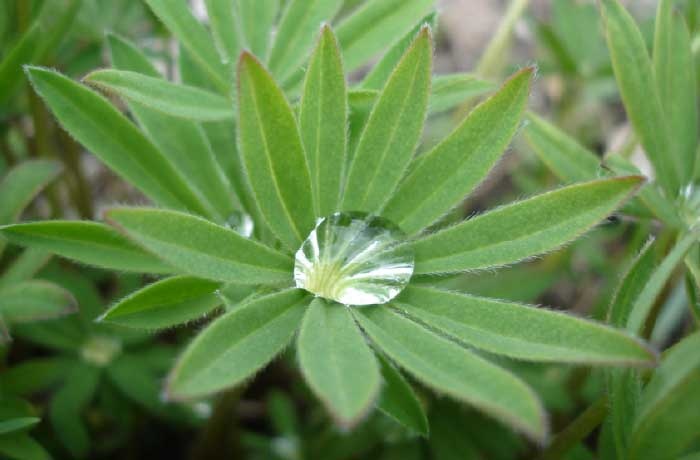 За миг до откровения За миг до откровения