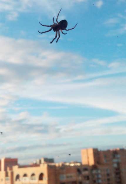 За миг до откровения За миг до откровения