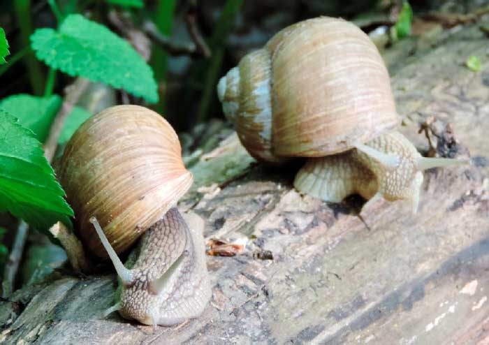 За миг до откровения