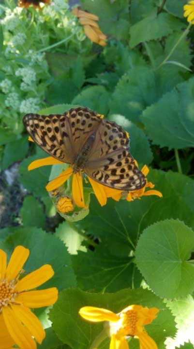 За миг до откровения За миг до откровения