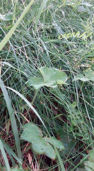 За миг до откровения За миг до откровения