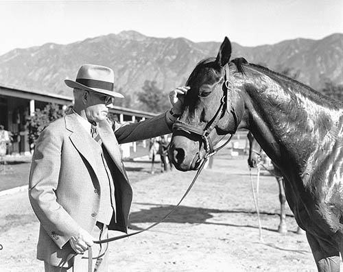 Фаворит. Американская легенда Фаворит. Американская легенда