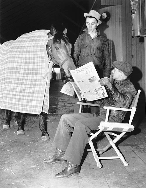 Фаворит. Американская легенда Фаворит. Американская легенда