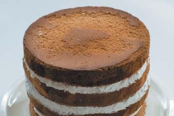 Торты с сюрпризом. Шоколадные, сливочные, кофейные, желейные, ореховые, фруктовые Торты с сюрпризом. Шоколадные, сливочные, кофейные, желейные, ореховые, фруктовые