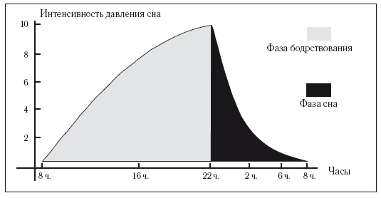 8 недель для победы над бессонницей. Как самостоятельно наладить сон 8 недель для победы над бессонницей. Как самостоятельно наладить сон