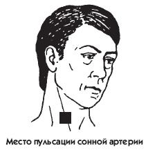 Заболевания сердца и сосудов. Профилактика и лечение Заболевания сердца и сосудов. Профилактика и лечение