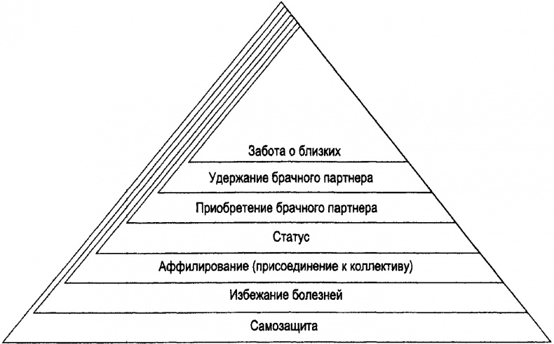 Рациональное животное. Как эволюция повлияла на развитие мозга Рациональное животное. Как эволюция повлияла на развитие мозга