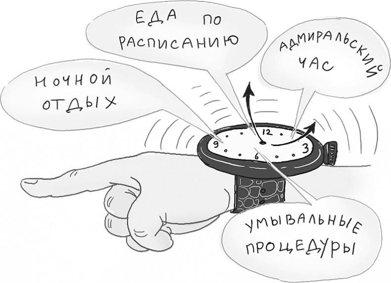 День карапузов День карапузов