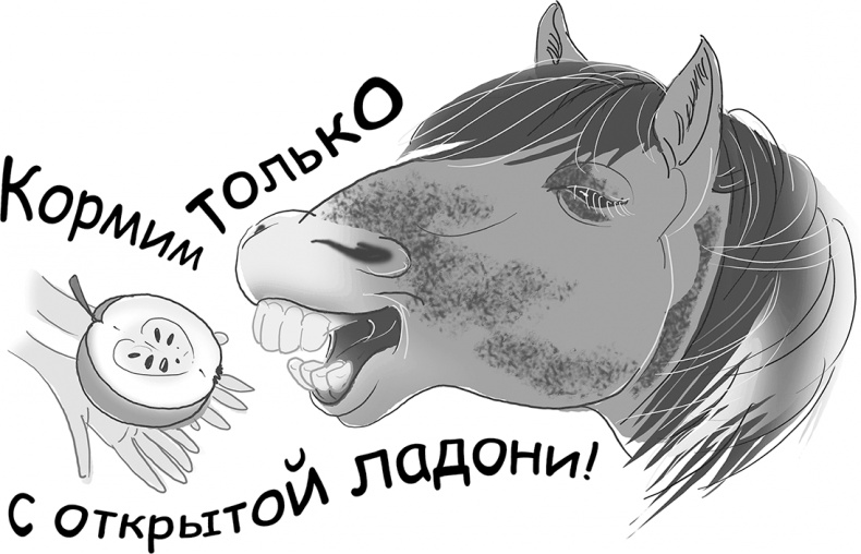 Таинственный Ктототам Таинственный Ктототам