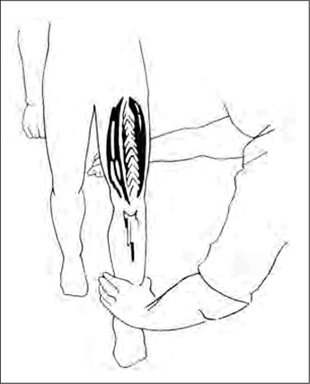 Двигательная активность и здоровье. От лечебной гимнастики до паркура Двигательная активность и здоровье. От лечебной гимнастики до паркура