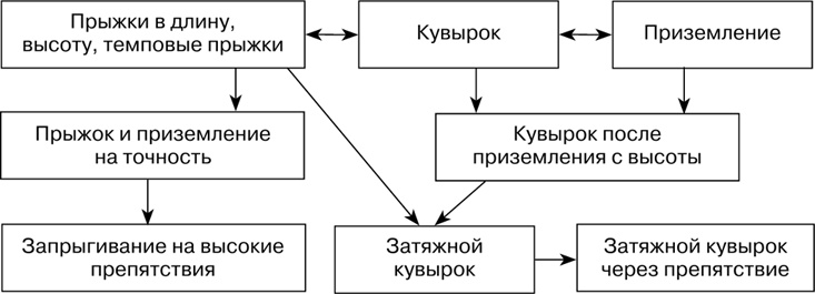 Двигательная активность и здоровье. От лечебной гимнастики до паркура Двигательная активность и здоровье. От лечебной гимнастики до паркура