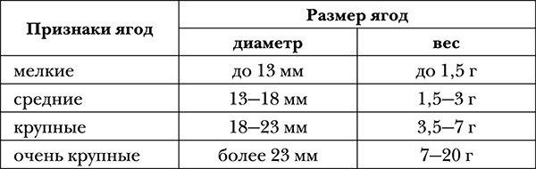 Виноград на вашей даче. Растет не только на юге! Виноград на вашей даче. Растет не только на юге!