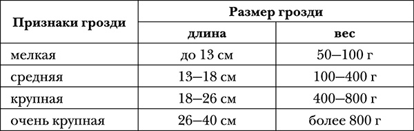 Виноград на вашей даче. Растет не только на юге! Виноград на вашей даче. Растет не только на юге!
