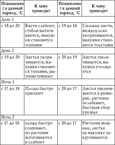 Ленивые помидоры. Как вырастить без труда? 50 шагов к успеху Ленивые помидоры. Как вырастить без труда? 50 шагов к успеху