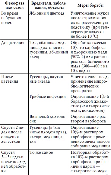 Богатый сад. Шпаргалка разумного дачника. 100 экспресс-советов Богатый сад. Шпаргалка разумного дачника. 100 экспресс-советов