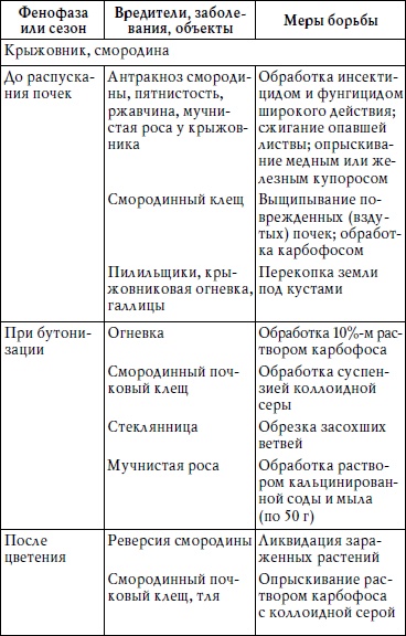 Богатый сад. Шпаргалка разумного дачника. 100 экспресс-советов Богатый сад. Шпаргалка разумного дачника. 100 экспресс-советов