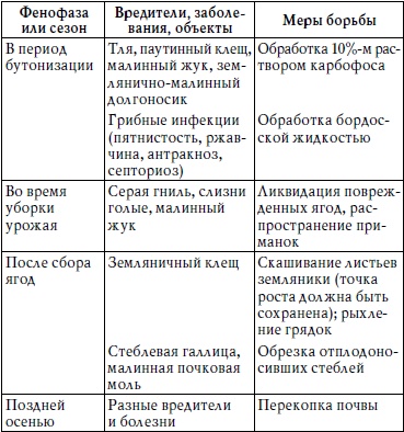 Богатый сад. Шпаргалка разумного дачника. 100 экспресс-советов Богатый сад. Шпаргалка разумного дачника. 100 экспресс-советов