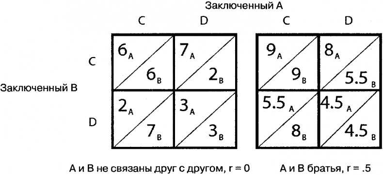 Инстинкты и смысл жизни. Почему в нас так много животного Инстинкты и смысл жизни. Почему в нас так много животного