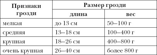 Виноград. Секреты чудо-урожая Виноград. Секреты чудо-урожая