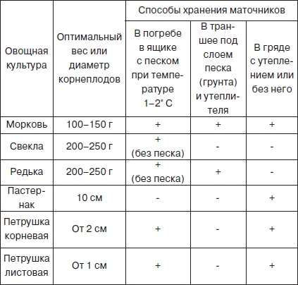 Всё о семенах овощных культур Всё о семенах овощных культур