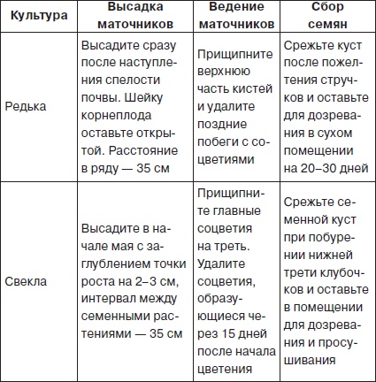 Всё о семенах овощных культур Всё о семенах овощных культур