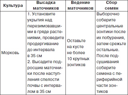 Всё о семенах овощных культур Всё о семенах овощных культур