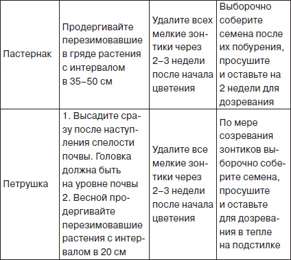 Всё о семенах овощных культур Всё о семенах овощных культур