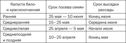 Всё о семенах овощных культур Всё о семенах овощных культур