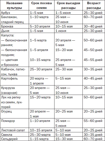 Всё о семенах овощных культур Всё о семенах овощных культур