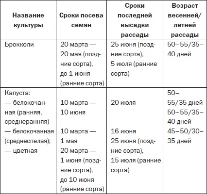 Всё о семенах овощных культур Всё о семенах овощных культур