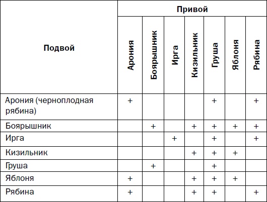 Прививка плодовых деревьев: распространенные ошибки и секреты успешной прививки Прививка плодовых деревьев: распространенные ошибки и секреты успешной прививки