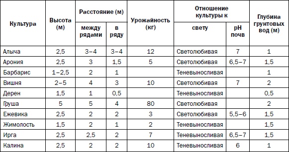 Прививка плодовых деревьев: распространенные ошибки и секреты успешной прививки Прививка плодовых деревьев: распространенные ошибки и секреты успешной прививки