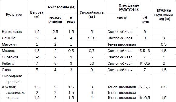 Прививка плодовых деревьев: распространенные ошибки и секреты успешной прививки Прививка плодовых деревьев: распространенные ошибки и секреты успешной прививки