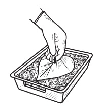 Комнатные деревья и кустарники: лимон, вишня, гранат, можжевельник, акация, жасмин и многие другие Комнатные деревья и кустарники: лимон, вишня, гранат, можжевельник, акация, жасмин и многие другие