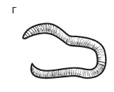 Комнатные деревья и кустарники: лимон, вишня, гранат, можжевельник, акация, жасмин и многие другие Комнатные деревья и кустарники: лимон, вишня, гранат, можжевельник, акация, жасмин и многие другие