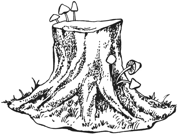 Поделки из папье-маше Поделки из папье-маше