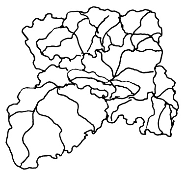 Овощи и зелень. Огород на моем подоконнике Овощи и зелень. Огород на моем подоконнике