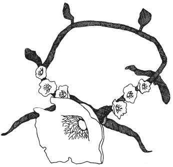 Фелтинг. Удивительные поделки из свалянной шерсти Фелтинг. Удивительные поделки из свалянной шерсти