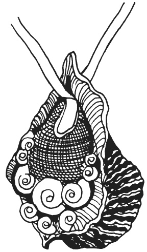 Поделки из морских камешков и ракушек Поделки из морских камешков и ракушек