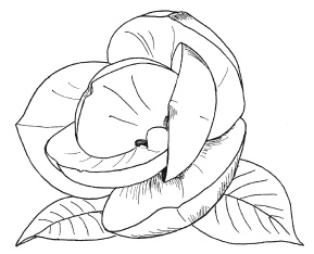 Поделки из бумаги, игрушки, сувениры и подарки Поделки из бумаги, игрушки, сувениры и подарки