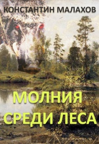 Молния среди леса - Константин Малахов - Читать книги онлайн | Слушать аудиокниги онлайн | Электронная библиотека books-lib.com