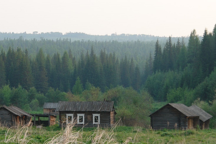 Молния среди леса Молния среди леса