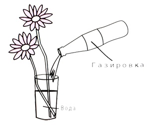 Маленькие японские хитрости II Маленькие японские хитрости II