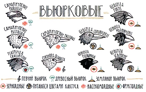 Загадка жизни и грязные носки Йоса Гротьеса из Дрила Загадка жизни и грязные носки Йоса Гротьеса из Дрила