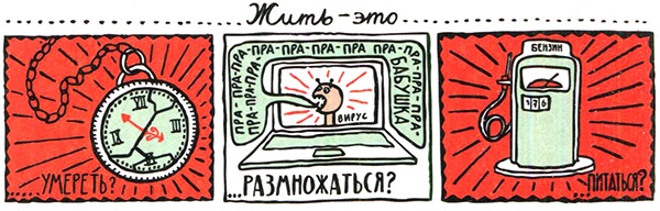 Загадка жизни и грязные носки Йоса Гротьеса из Дрила Загадка жизни и грязные носки Йоса Гротьеса из Дрила