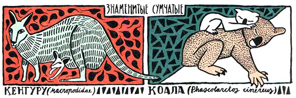 Загадка жизни и грязные носки Йоса Гротьеса из Дрила Загадка жизни и грязные носки Йоса Гротьеса из Дрила