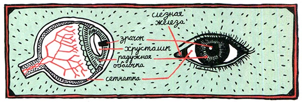 Загадка жизни и грязные носки Йоса Гротьеса из Дрила Загадка жизни и грязные носки Йоса Гротьеса из Дрила