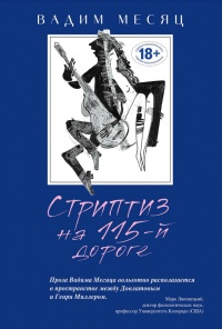Стриптиз на 115-й дороге - Вадим Месяц - Читать книги онлайн | Слушать аудиокниги онлайн | Электронная библиотека books-lib.com