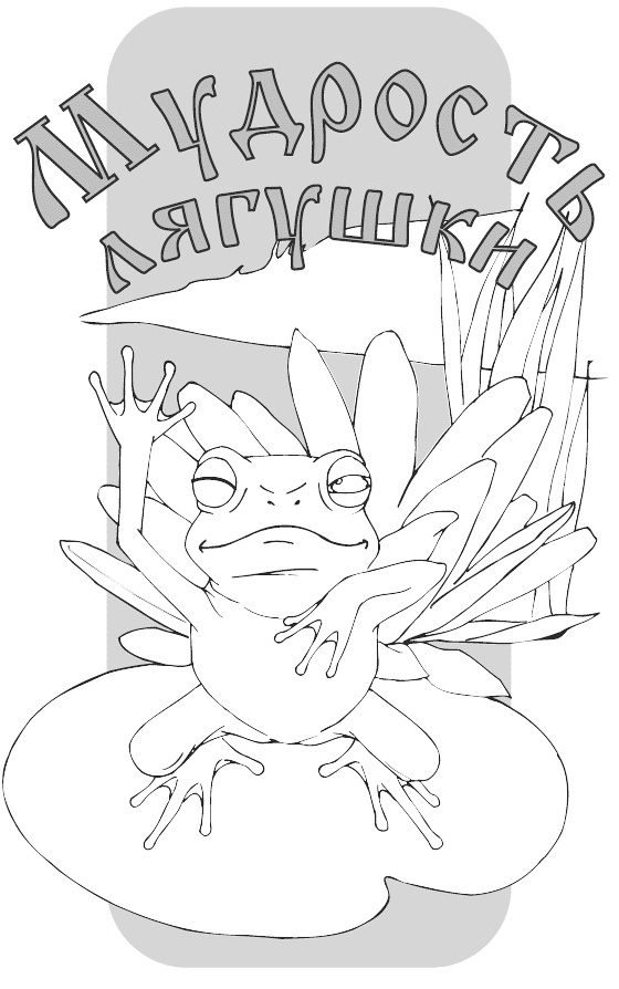 Мудрость лягушки Мудрость лягушки